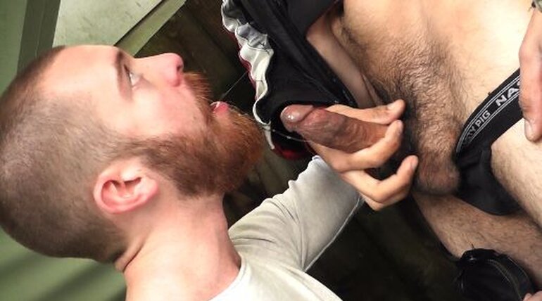 Jordan Foster in Sirius & Jordan Foster