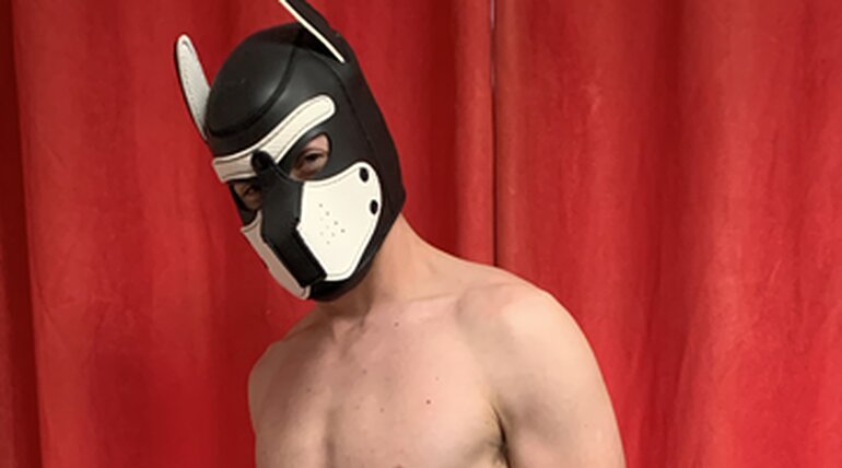 StreetPup in Three's Company