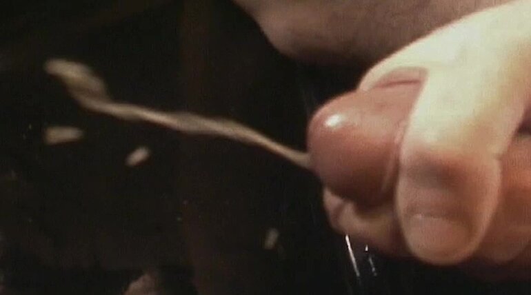 Anarcocks Pirate Tape