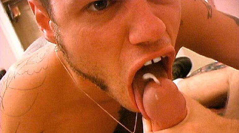 DAMON BLOWS AMERICA 5: New Orleans