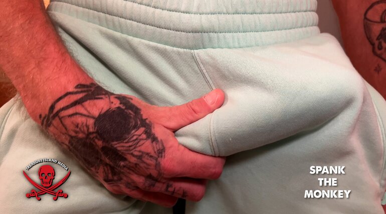 SPANK THE MONKEY