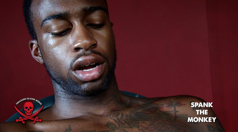 SPANK THE MONKEY