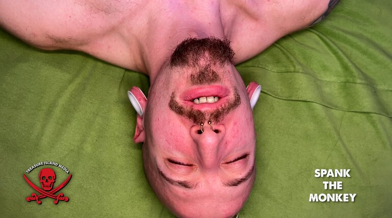 SPANK THE MONKEY