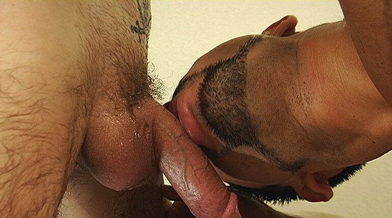 BEST OF DAN FISK - LEGENDARY STUD