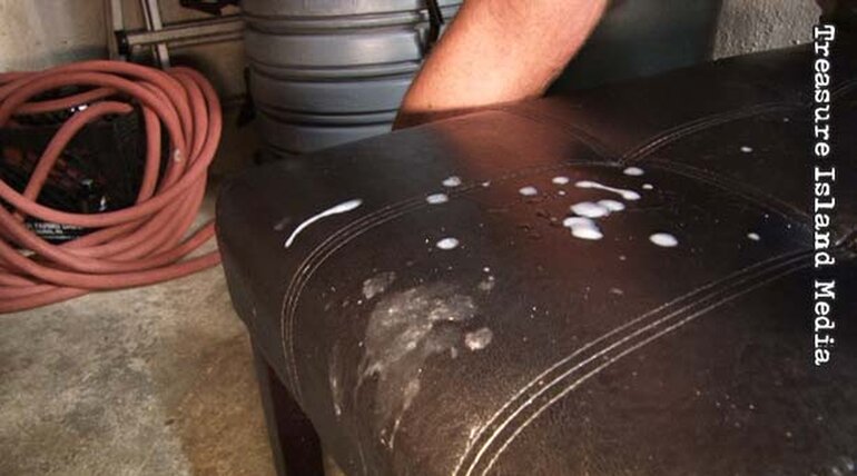 STICK IT FUCK IT BREED IT LEAVE IT