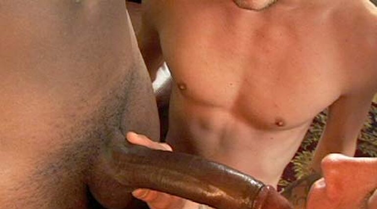 DAMON BLOWS AMERICA 10 (DENVER)