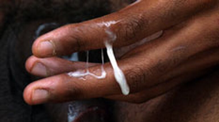 Latin Loads 2 (NYC EDITION)