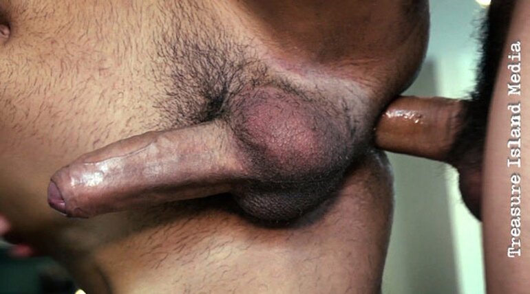 DONKEY-DICK NUT-JUNKIES ( OF MEXICO ) 