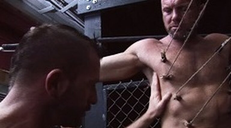 COMPROMISED in DAMAGED GOODS