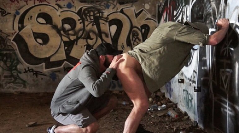 BAD SEED in BAD SEED