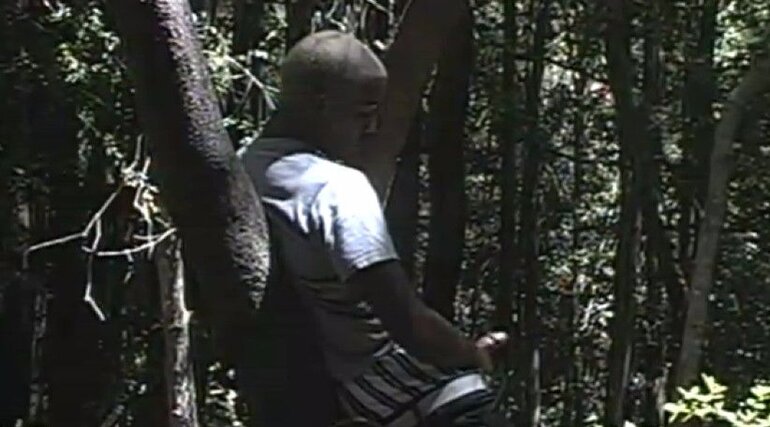 THE ORGAN in EAT IT HOT