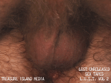 LOST UNRELEASED SEX TAPES (L.U.S.T. VOLUME 2)