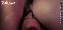 BAD SEED