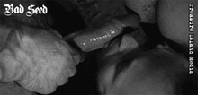 BAD SEED