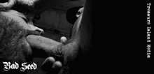 BAD SEED