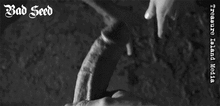 BAD SEED