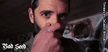 BAD SEED