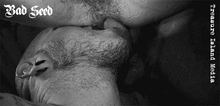 BAD SEED