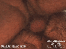 LOST UNRELEASED SEX TAPES (L.U.S.T. VOLUME 2)