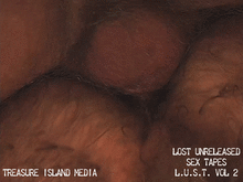 LOST UNRELEASED SEX TAPES (L.U.S.T. VOLUME 2)