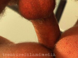 SATURDAY AFTERNOON: GANG FUCK